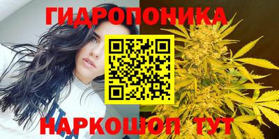 стафф Кинель